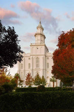 Load image into Gallery viewer, St. George Red Tree