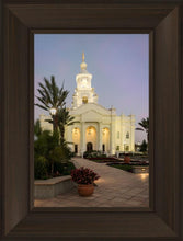 Load image into Gallery viewer, Tijuana Mexico Temple De Los Sueños
