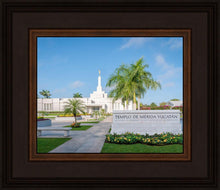 Load image into Gallery viewer, Mérida Mexico Yucatán