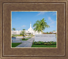 Load image into Gallery viewer, Mérida Mexico Yucatán