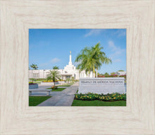 Load image into Gallery viewer, Mérida Mexico Yucatán