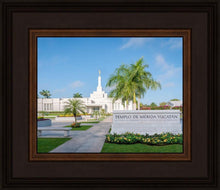 Load image into Gallery viewer, Mérida Mexico Yucatán