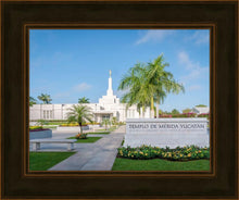 Load image into Gallery viewer, Mérida Mexico Yucatán