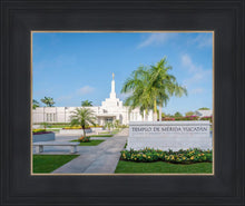 Load image into Gallery viewer, Mérida Mexico Yucatán