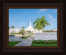 Load image into Gallery viewer, Mérida Mexico Yucatán