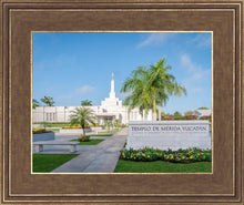 Load image into Gallery viewer, Mérida Mexico Yucatán