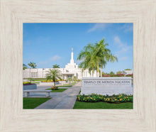 Load image into Gallery viewer, Mérida Mexico Yucatán