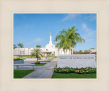 Load image into Gallery viewer, Mérida Mexico Yucatán