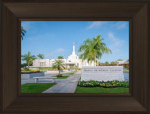 Load image into Gallery viewer, Mérida Mexico Yucatán