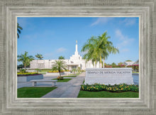 Load image into Gallery viewer, Mérida Mexico Yucatán