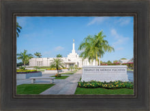 Load image into Gallery viewer, Mérida Mexico Yucatán