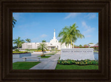 Load image into Gallery viewer, Mérida Mexico Yucatán