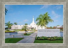 Load image into Gallery viewer, Mérida Mexico Yucatán
