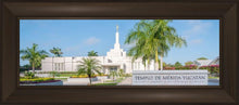 Load image into Gallery viewer, Mérida Mexico Yucatán