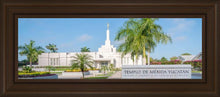 Load image into Gallery viewer, Mérida Mexico Yucatán
