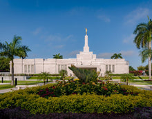 Load image into Gallery viewer, Mérida Mexico Garden Peace