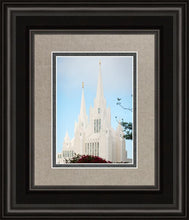 Load image into Gallery viewer, San Diego California Magenta Views
