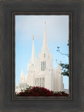 Load image into Gallery viewer, San Diego California Magenta Views