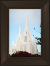 Load image into Gallery viewer, San Diego California Magenta Views