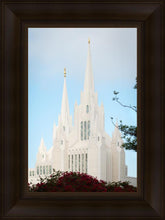 Load image into Gallery viewer, San Diego California Magenta Views