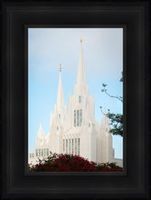 Load image into Gallery viewer, San Diego California Magenta Views