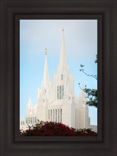 Load image into Gallery viewer, San Diego California Magenta Views