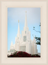 Load image into Gallery viewer, San Diego California Magenta Views