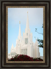 Load image into Gallery viewer, San Diego California Magenta Views