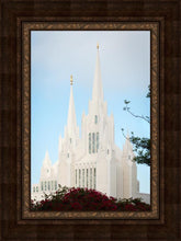 Load image into Gallery viewer, San Diego California Magenta Views
