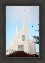 Load image into Gallery viewer, San Diego California Magenta Views