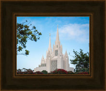 Load image into Gallery viewer, San Diego California Towering Spires
