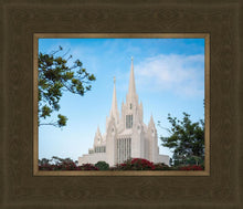 Load image into Gallery viewer, San Diego California Towering Spires