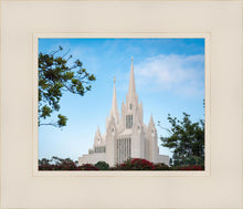 Load image into Gallery viewer, San Diego California Towering Spires