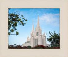 Load image into Gallery viewer, San Diego California Towering Spires