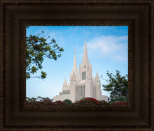 Load image into Gallery viewer, San Diego California Towering Spires