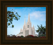 Load image into Gallery viewer, San Diego California Towering Spires