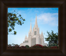 Load image into Gallery viewer, San Diego California Towering Spires