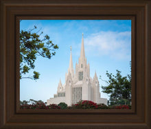 Load image into Gallery viewer, San Diego California Towering Spires