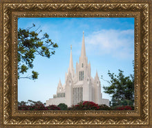 Load image into Gallery viewer, San Diego California Towering Spires