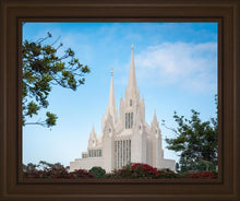 Load image into Gallery viewer, San Diego California Towering Spires