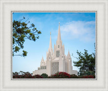 Load image into Gallery viewer, San Diego California Towering Spires