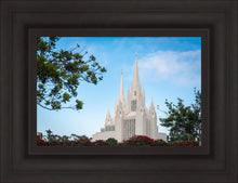 Load image into Gallery viewer, San Diego California Towering Spires