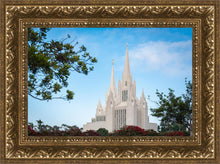 Load image into Gallery viewer, San Diego California Towering Spires