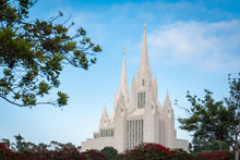 Load image into Gallery viewer, San Diego California Towering Spires