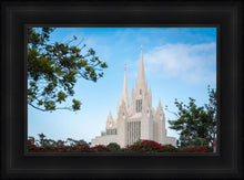 Load image into Gallery viewer, San Diego California Towering Spires