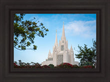 Load image into Gallery viewer, San Diego California Towering Spires