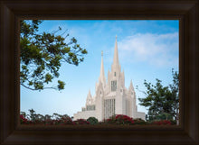 Load image into Gallery viewer, San Diego California Towering Spires