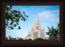 Load image into Gallery viewer, San Diego California Towering Spires