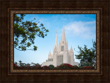 Load image into Gallery viewer, San Diego California Towering Spires