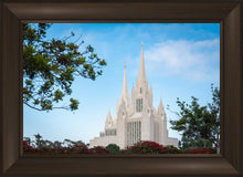 Load image into Gallery viewer, San Diego California Towering Spires